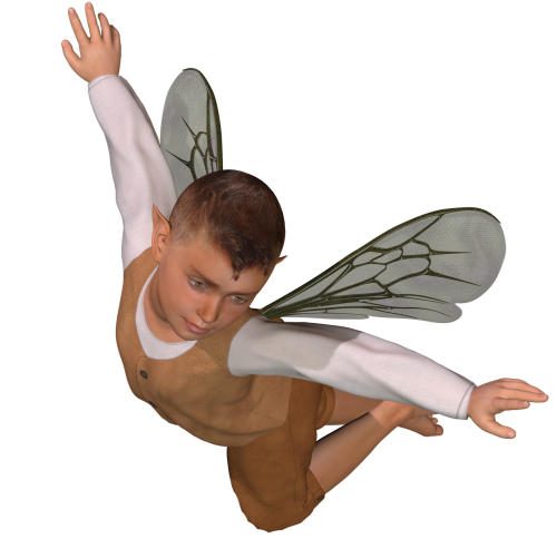 fairy boy fairy fantasy