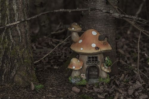 fairy house magical