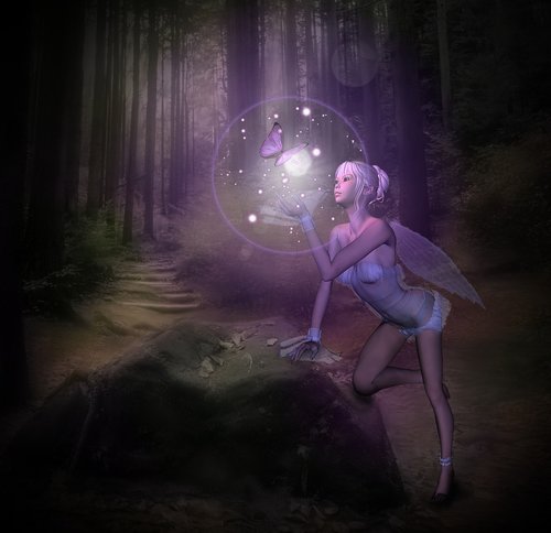 fairy  fantasy  light