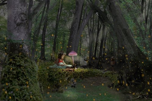 fairy tale  little girl  fungus