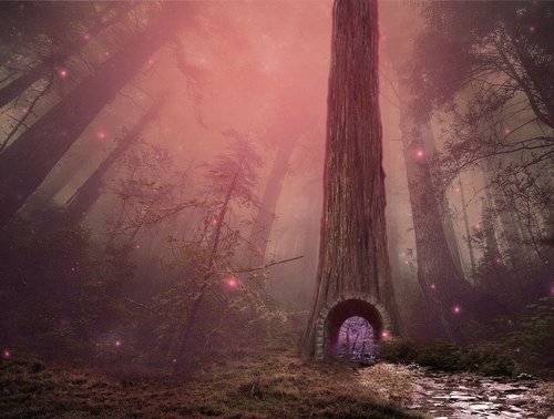 fairytale  forest  magic
