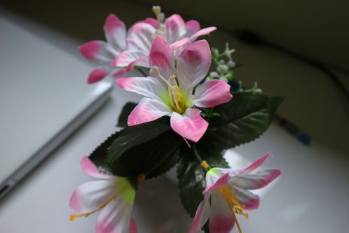 fake flowers flowers closeup