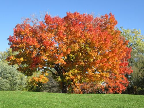 fall colors autumn landscape