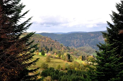 fall vosges nature