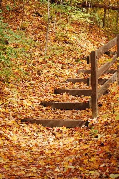 fall autumn stairs