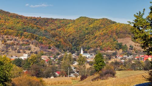 fall landscape nature