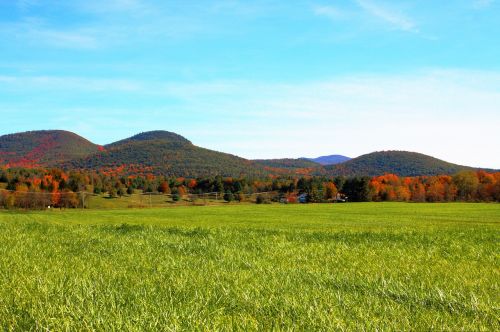 fall mountain grass