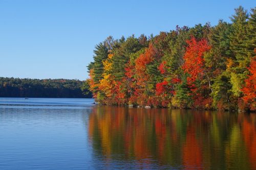 fall foliage lake