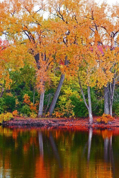 fall landscape river