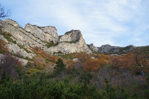 fall saou forest