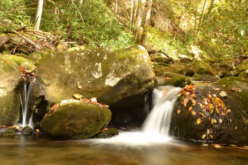 fall stream leaves