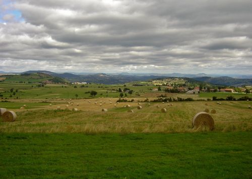 fall field landscape