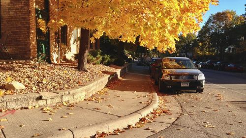 fall autumn city