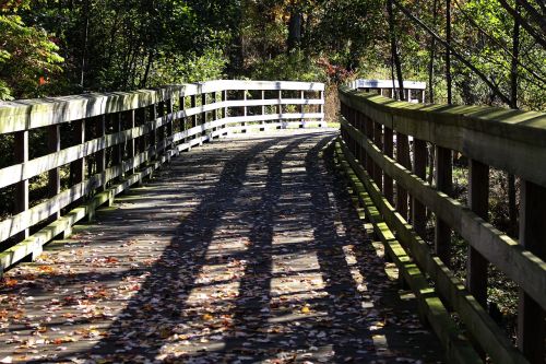 fall wooden bridge nature