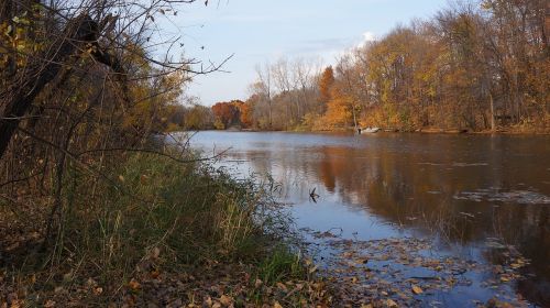 fall three rivers park maple grove