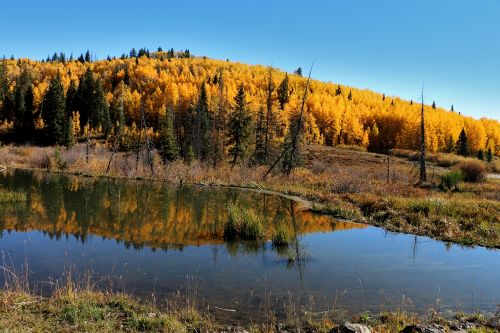 fall mountains pond