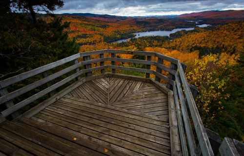 fall landscape nature