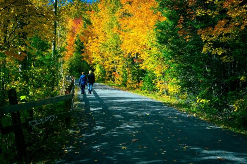 fall market path