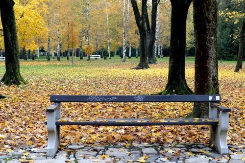 fall wood bench