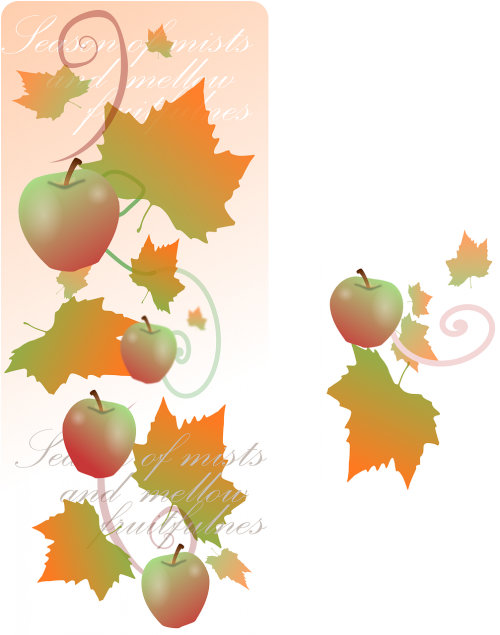 fall apples seasons