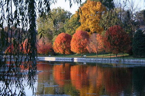 fall  lake  landscape