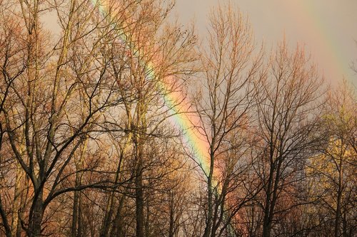 fall  rainbow  nature