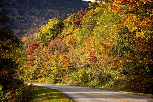 fall  autumn  road