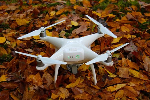fall  autumn  drone