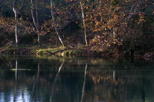 fall  lake  trees