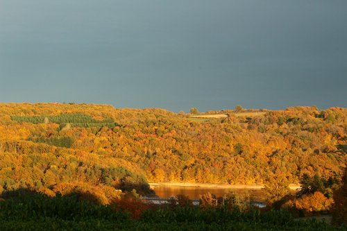 fall  landscape  nature