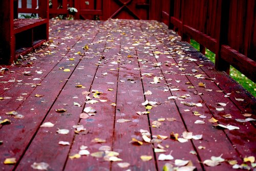fall  deck  wood