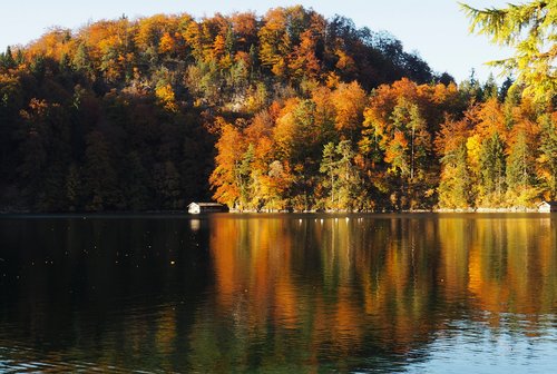 fall  forest  lake
