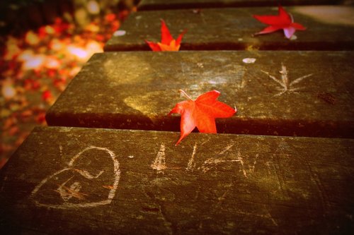 fall  graffiti  table