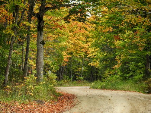 fall  autumn  colors