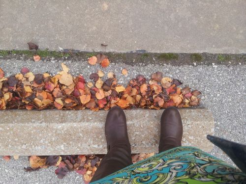 fall boots autumn