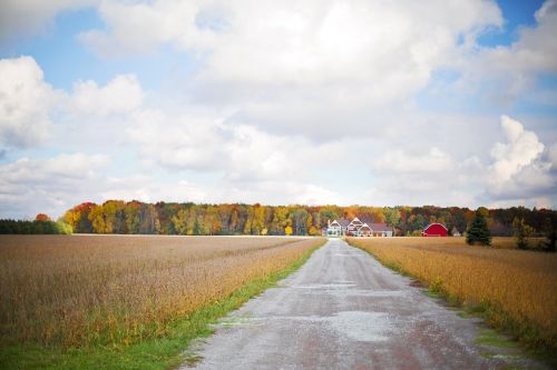 road street rural