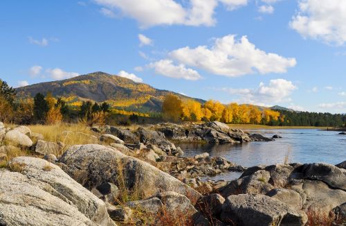 fall rocks forest