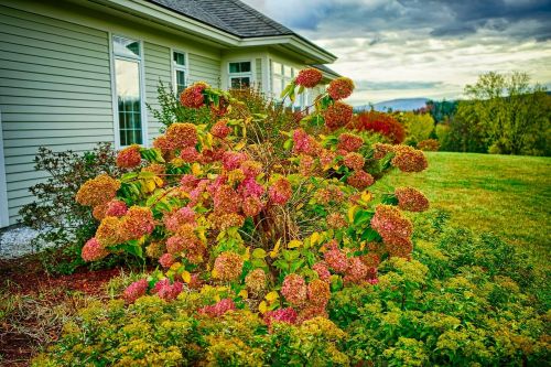 fall foliage mountains