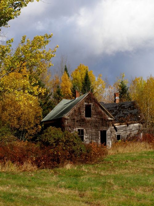 house fall abandoned