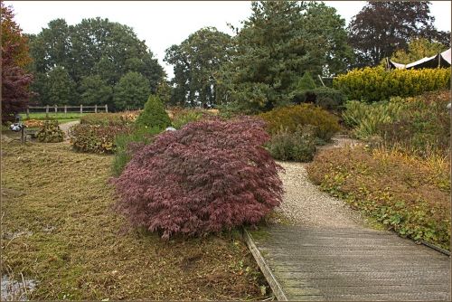 fall background park