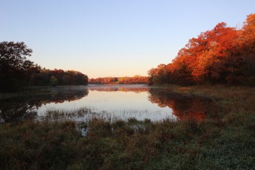 fall color lake ref