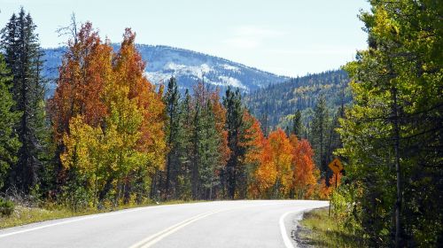 fall colors highway landscape
