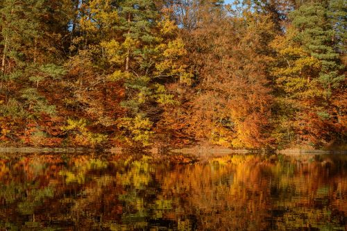 fall foliage lake mirroring