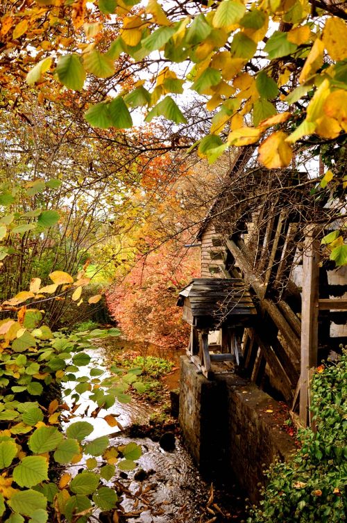 fall foliage waterwheel creek