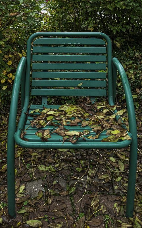 fall foliage chair garden chair