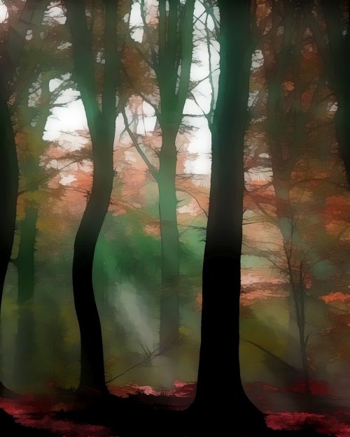 Fall Forest 6