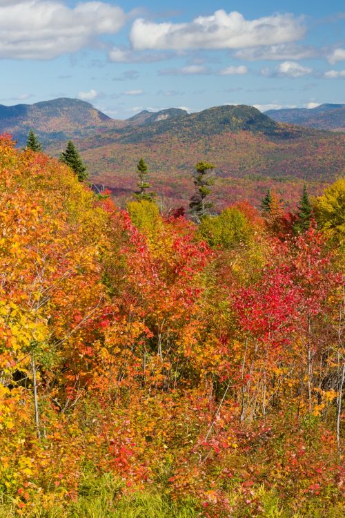 Fall In New England