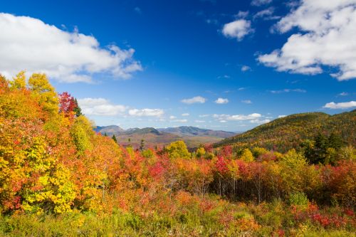 Fall In New England