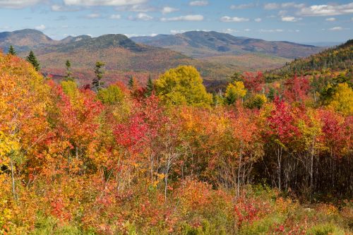 Fall In New England