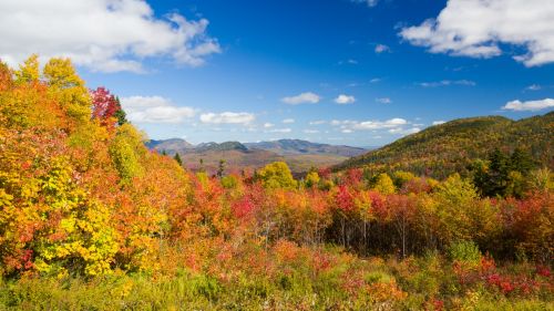 Fall In New England